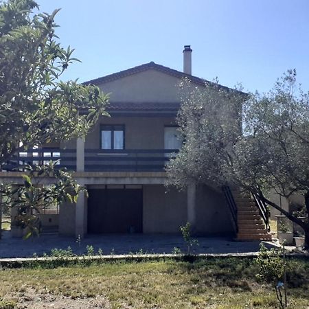 Jolie maison à louer dans les Cévennes Vila Saint-Christol-lès-Alès Exterior foto